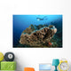 Salvador Dali Sponge with Wall Decal Design 8