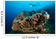 Salvador Dali Sponge with Wall Decal Design 8