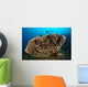 Salvador Dali Sponge with Wall Decal Design 7