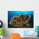 Salvador Dali Sponge with Wall Decal Design 7