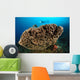 Salvador Dali Sponge with Wall Decal Design 7