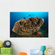 Salvador Dali Sponge with Wall Decal Design 7