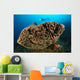 Salvador Dali Sponge with Wall Decal Design 7