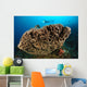 Salvador Dali Sponge with Wall Decal Design 7