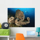 Salvador Dali Sponge with Wall Decal Design 6