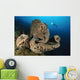 Salvador Dali Sponge with Wall Decal Design 6