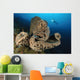 Salvador Dali Sponge with Wall Decal Design 6