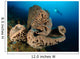 Salvador Dali Sponge with Wall Decal Design 6