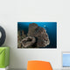 Salvador Dali Sponge with Wall Decal Design 5