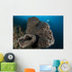 Salvador Dali Sponge with Wall Decal Design 5