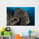 Salvador Dali Sponge with Wall Decal Design 5
