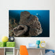 Salvador Dali Sponge with Wall Decal Design 5