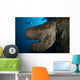 Salvador Dali Sponge with Wall Decal Design 4