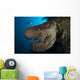 Salvador Dali Sponge with Wall Decal Design 4