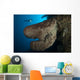 Salvador Dali Sponge with Wall Decal Design 4