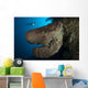 Salvador Dali Sponge with Wall Decal Design 4
