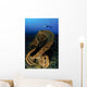 Salvador Dali Sponge with Wall Decal Design 3