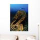 Salvador Dali Sponge with Wall Decal Design 3