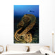 Salvador Dali Sponge with Wall Decal Design 3