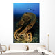 Salvador Dali Sponge with Wall Decal Design 3