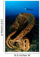 Salvador Dali Sponge with Wall Decal Design 3