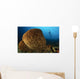 Salvador Dali Sponge with Wall Decal Design 2