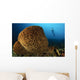 Salvador Dali Sponge with Wall Decal Design 2