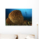 Salvador Dali Sponge with Wall Decal Design 2