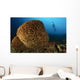 Salvador Dali Sponge with Wall Decal Design 2