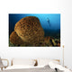 Salvador Dali Sponge with Wall Decal Design 2