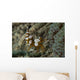 Squat Anemone Shrimp Side Wall Decal