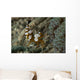 Squat Anemone Shrimp Side Wall Decal