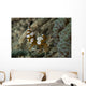Squat Anemone Shrimp Side Wall Decal