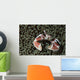 Spotted Porcelain Crab Wall Decal