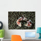 Spotted Porcelain Crab Wall Decal