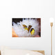 Clark's Anemonefish White Anemone Wall Decal Design 2
