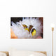 Clark's Anemonefish White Anemone Wall Decal Design 2