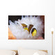 Clark's Anemonefish White Anemone Wall Decal Design 2