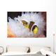 Clark's Anemonefish White Anemone Wall Decal Design 2