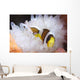 Clark's Anemonefish White Anemone Wall Decal Design 2