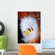 Clark's Anemonefish White Anemone Wall Decal Design 1