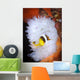 Clark's Anemonefish White Anemone Wall Decal Design 1