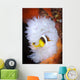 Clark's Anemonefish White Anemone Wall Decal Design 1