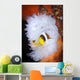 Clark's Anemonefish White Anemone Wall Decal Design 1