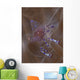 Sarasvati Anemone Shrimp Anemone Wall Decal