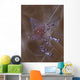 Sarasvati Anemone Shrimp Anemone Wall Decal