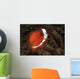 Spinecheek Anemonefish Gorontalo Indonesia Wall Decal