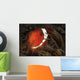 Spinecheek Anemonefish Gorontalo Indonesia Wall Decal