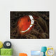 Spinecheek Anemonefish Gorontalo Indonesia Wall Decal