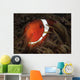 Spinecheek Anemonefish Gorontalo Indonesia Wall Decal